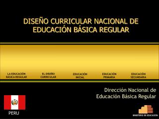 DISEÑO CURRICULAR NACIONAL DE EDUCACIÓN BÁSICA REGULAR