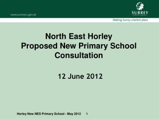 North East Horley Proposed New Primary School Consultation