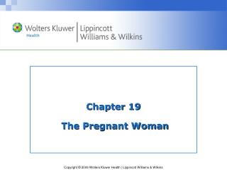 Chapter 19 The Pregnant Woman