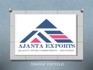 COMPANY PORTFOLIO