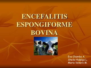 ENCEFALITIS ESPONGIFORME BOVINA