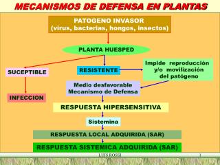 MECANISMOS DE DEFENSA EN PLANTAS