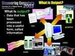 What is Output