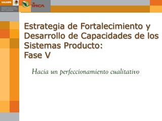 Estrategia de Fortalecimiento y Desarrollo de Capacidades de los Sistemas Producto: Fase V
