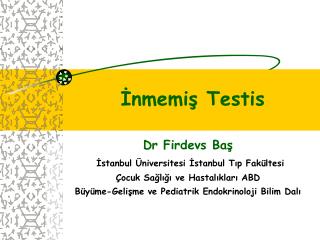 Dr Firdevs Baş İstanbul Üniversitesi İstanbul Tıp Fakültesi