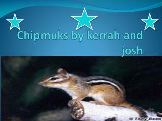 Chipmuks by kerrah and josh