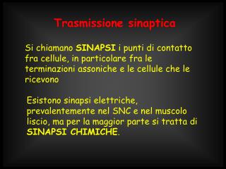 Trasmissione sinaptica