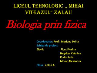 Liceul Tehnologic ,, Mihai Viteazul ” Zalau