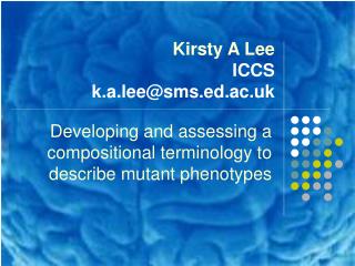 Kirsty A Lee ICCS k.a.lee@sms.ed.ac.uk