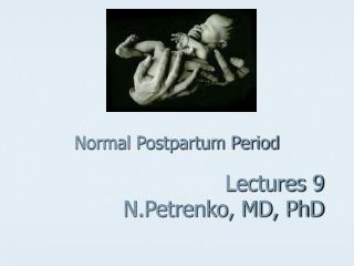 Normal Postpartum Period