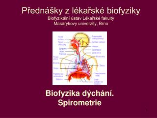 Přednášky z lékařské biofyziky Biofyzikální ústav Lékařské fakulty Masaryk ovy univerzity, Brno
