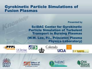 Gyrokinetic Particle Simulations of Fusion Plasmas