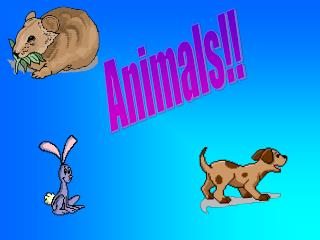 Animals!!