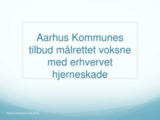 Aarhus Kommunes tilbud målrettet voksne med erhvervet hjerneskade