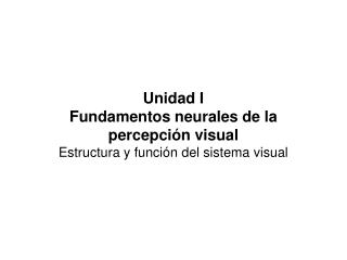 Unidad I Fundamentos neurales de la percepción visual Estructura y función del sistema visual