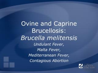 Ovine and Caprine Brucellosis: Brucella melitensis