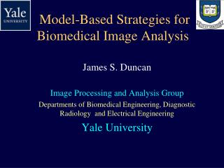 Model-Based Strategies for Biomedical Image Analysis
