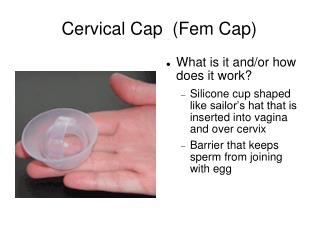 Cervical Cap (Fem Cap) ‏