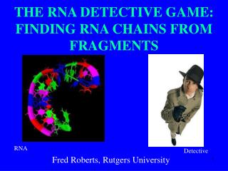 THE RNA DETECTIVE GAME: FINDING RNA CHAINS FROM FRAGMENTS