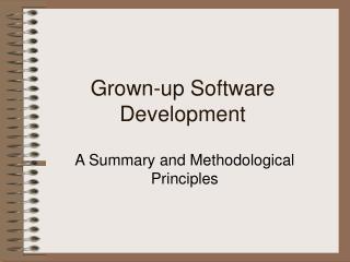 Grown-up Software Development