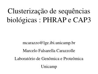 Clusterização de sequências biológicas : PHRAP e CAP3 mcarazzo@lge.ibi.unicamp.br