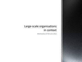 Large-scale organisations in context