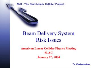 Beam Delivery System Risk Issues