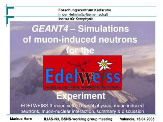 GEANT4 – Simulations of muon-induced neutrons for the