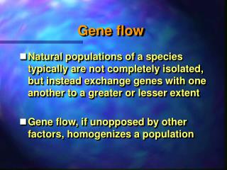 Gene flow