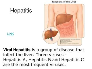 PPT - Hepatitis PowerPoint Presentation, free download - ID:5686642