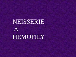 NEISSERIE A HEMOFILY