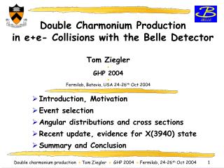 Double Charmonium Production in e+e- Collisions with the Belle Detector