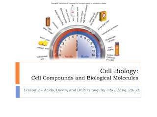 Cell Biology: Cell Compounds and Biological Molecules