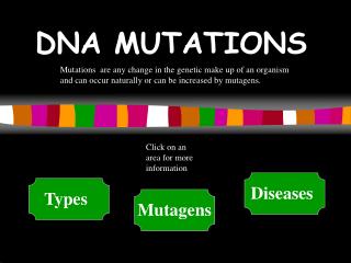 DNA MUTATIONS