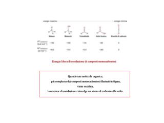 Energia libera di ossidazione di composti monocarboniosi