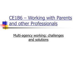 CE1B6 – Working with Parents and other Professionals