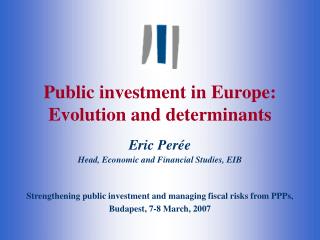 Public investment in Europe: Evolution and determinants