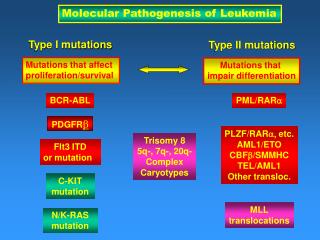 Molecular Pathogenesis of Leukemia