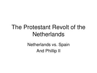 The Protestant Revolt of the Netherlands