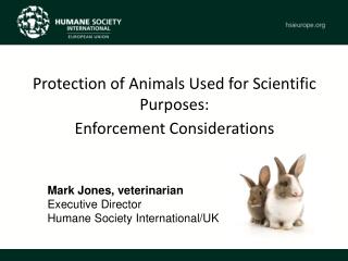 Mark Jones, veterinarian Executive Director Humane Society International/UK