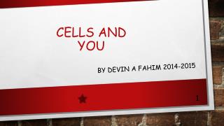 Cells and you