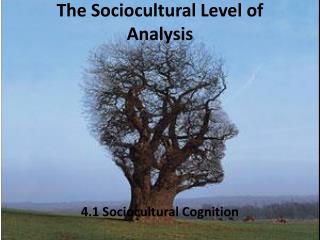 The Sociocultural Level of Analysis