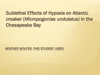 Heather wolfer , phd student, umes
