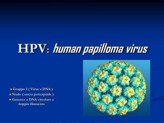 HPV : human papilloma virus