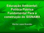 Educa o Ambiental: Pol tica P blica Fundamental Para a constru o do SISNAMA