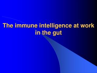 The immune intelligence at work in the gut