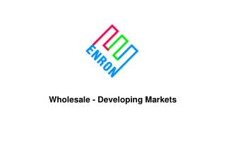 Wholesale - Developing Markets