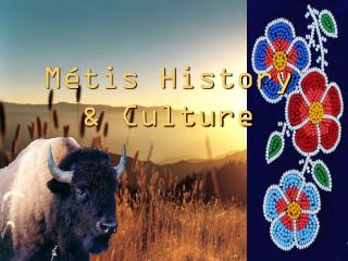 Métis History &amp; Culture