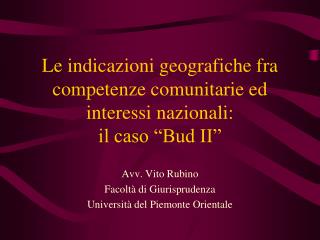 Le indicazioni geografiche fra competenze comunitarie ed interessi nazionali: il caso “Bud II”