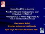 Supporting SMEs to innovate New Priorities and Strategies for a local innovative development The experience of Veneto R